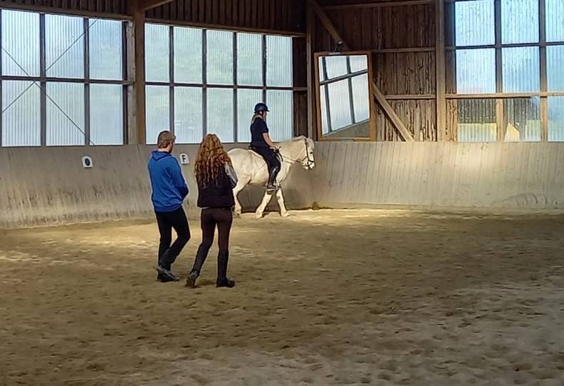 Unterricht in Kleingruppe mit Islandpferden