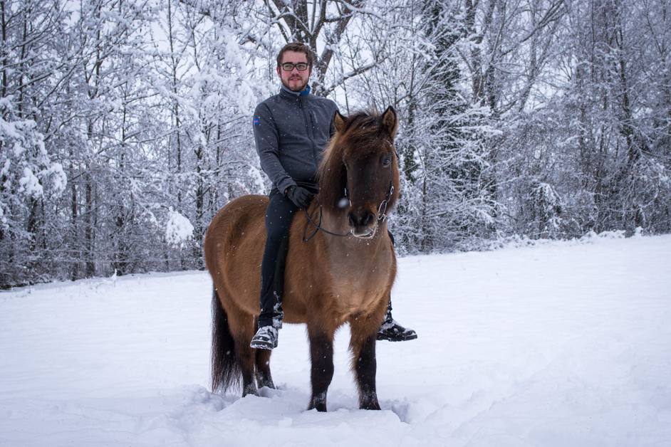 Individuelle Begleitung von Mensch und Pferd bei Gangpferde Jovin